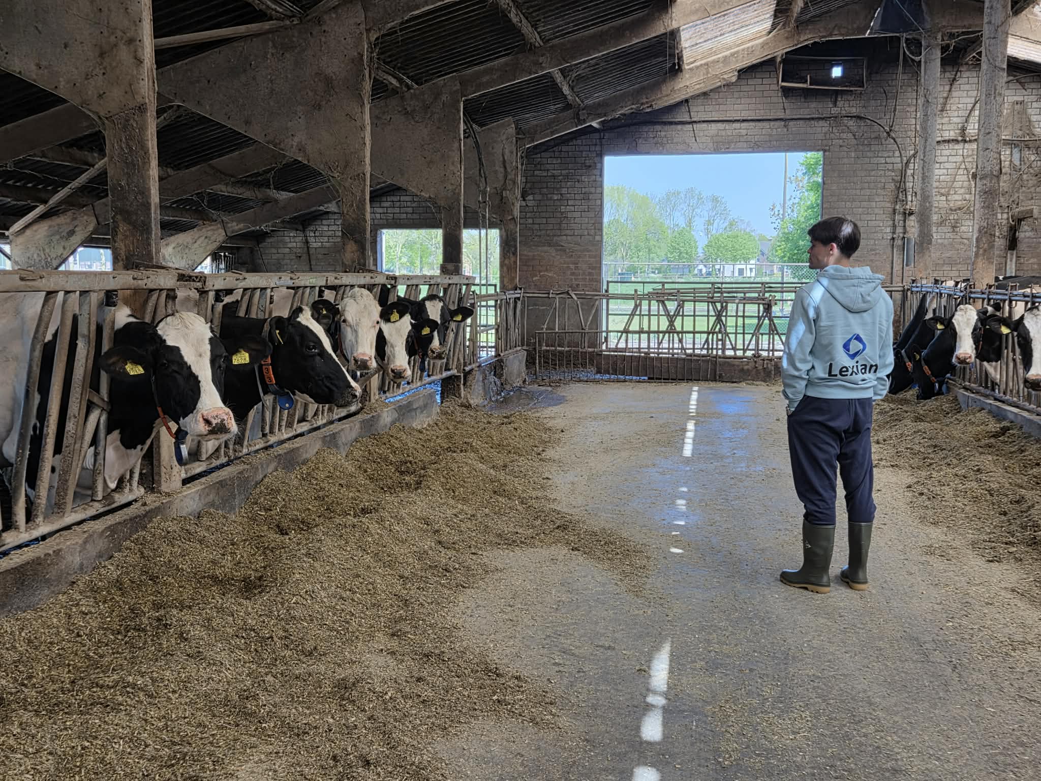 LexianInFarm